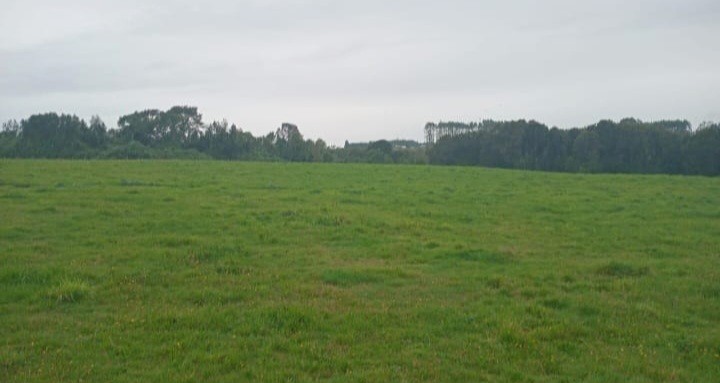 Venta 72 has agricolas o ganaderas